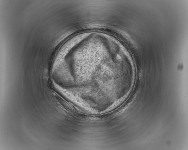 X0000090731209200708171940