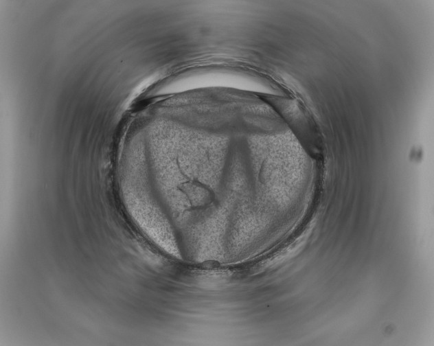 X0000090731210200708171940