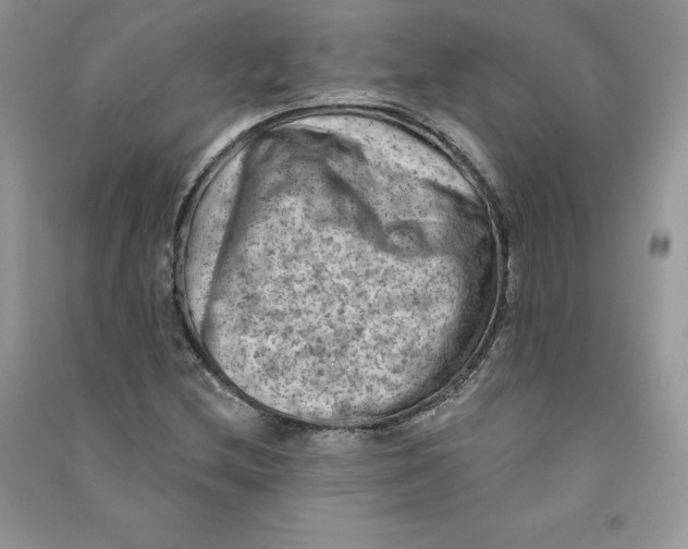 X0000090731212200708171940