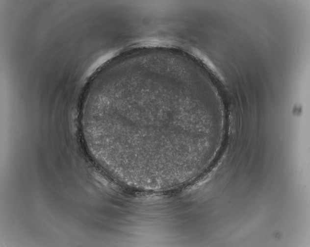 X0000090731213200708171940