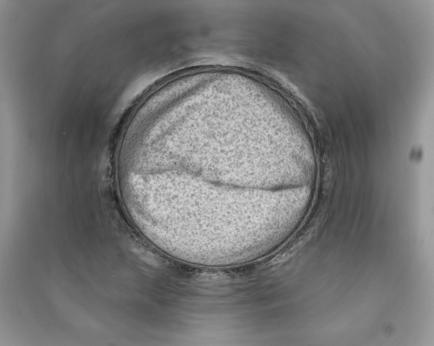 X0000090731215200708171940