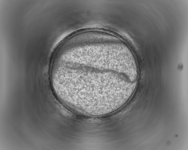 X0000090731216200708171940