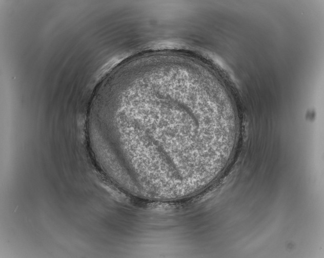 X0000090731217200708171940