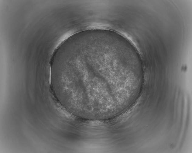 X0000090731219200708171940