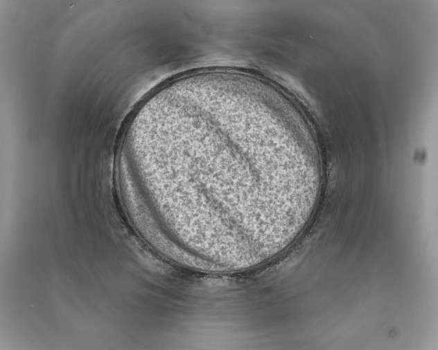 X0000090731220200708171940