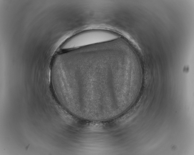 X0000090731221200708171940