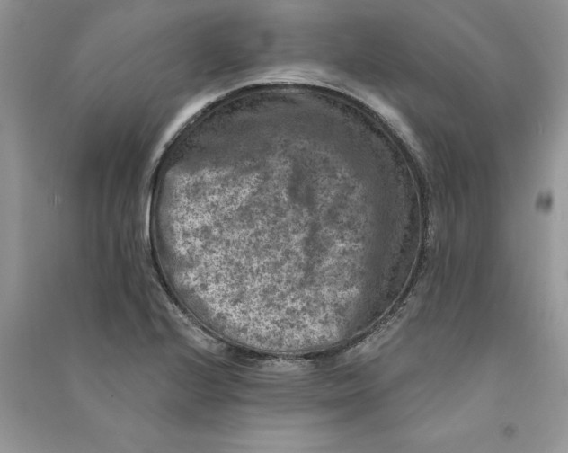 X0000090731224200708171940