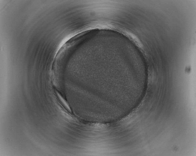 X0000090731226200708171940