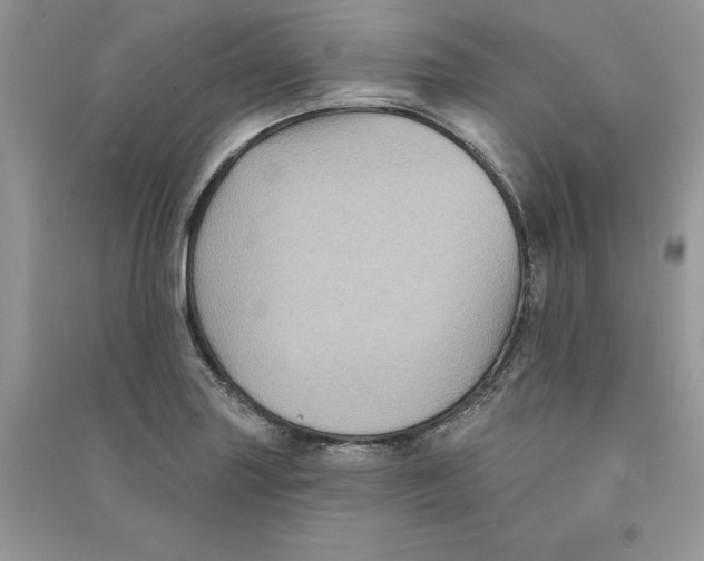 X0000090731227200708171941