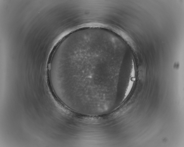 X0000090731229200708171941