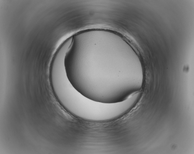 X0000090731230200708171941