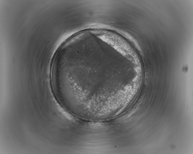 X0000090731231200708171941