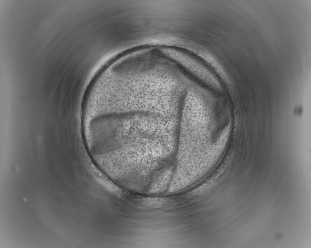 X0000090731232200708171941