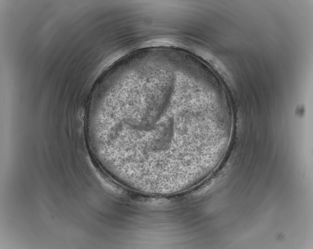 X0000090731233200708171941