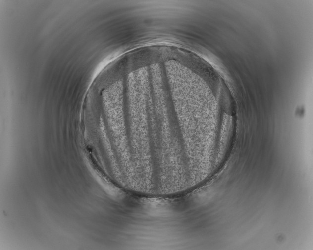 X0000090731234200708171941