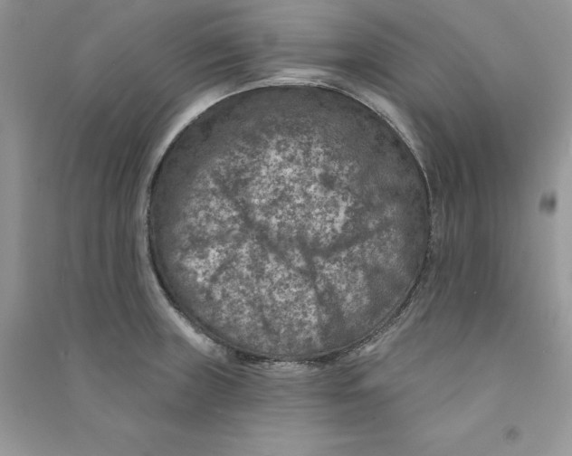 X0000090731235200708171941