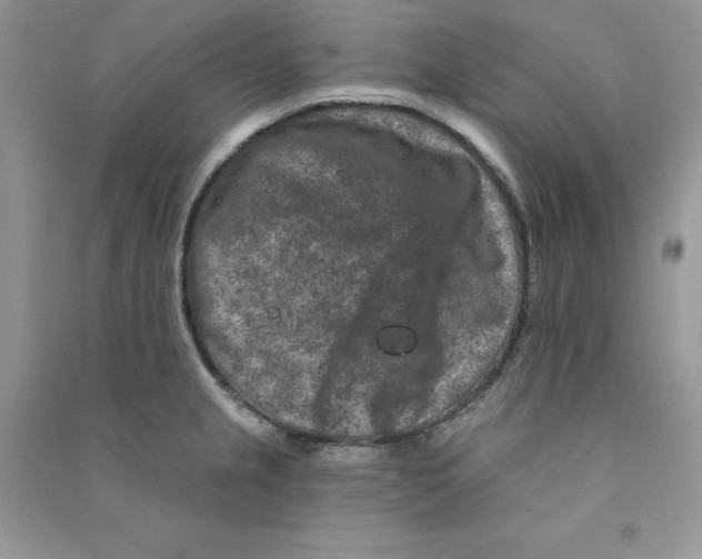 X0000090731237200708171941