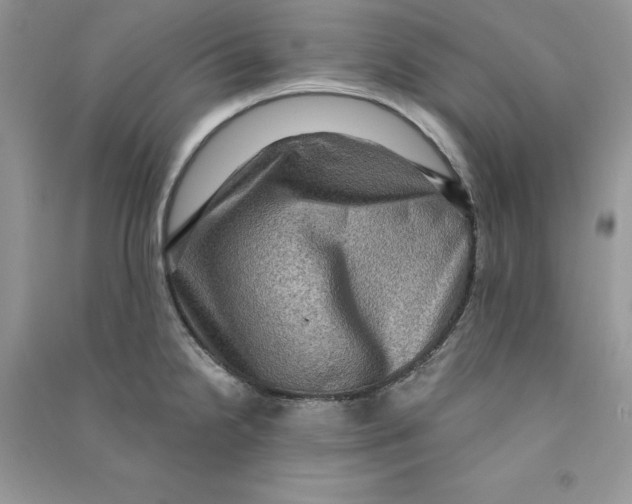 X0000090731238200708171941