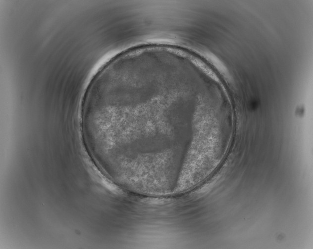 X0000090731240200708171941