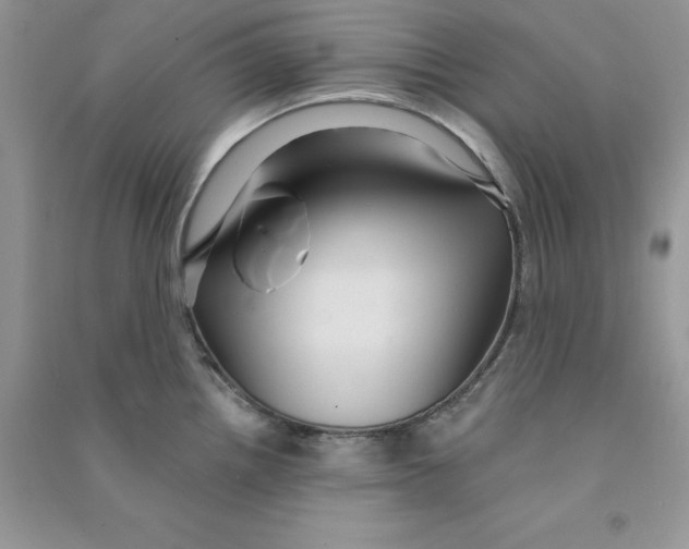 X0000090731242200708171941