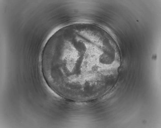 X0000090731243200708171941