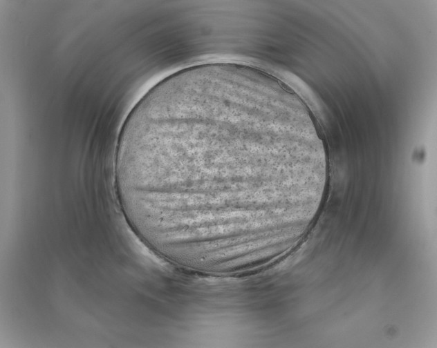 X0000090731244200708171941