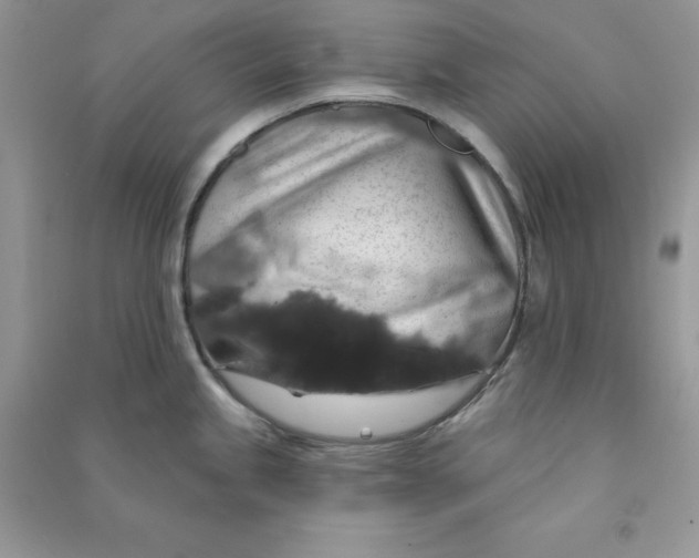 X0000090731245200708171941