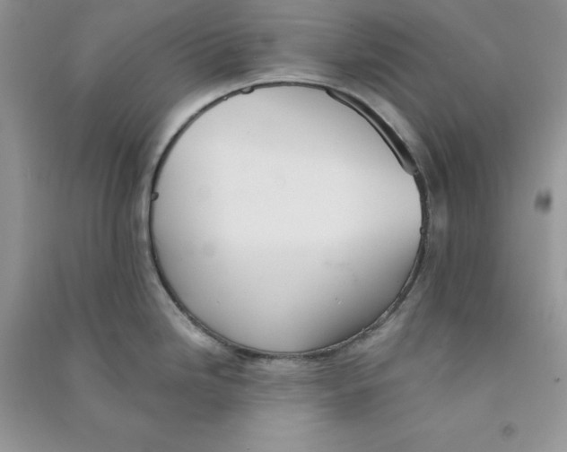 X0000090731246200708171941