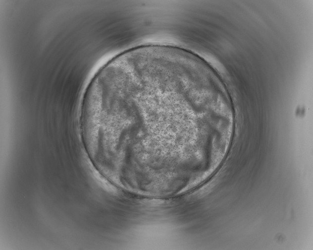 X0000090731248200708171941