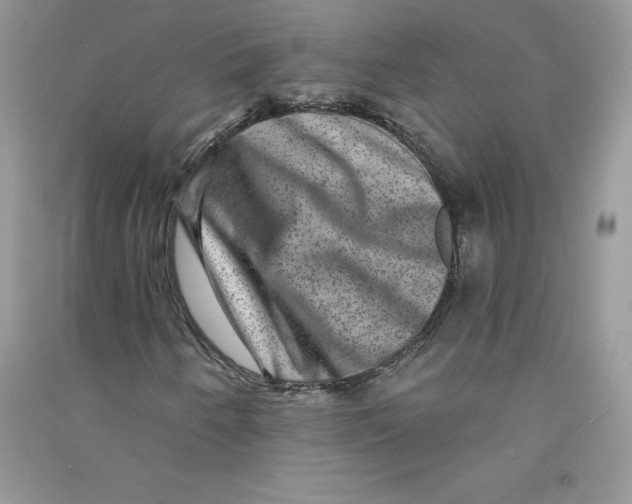 X0000090731250200708171940