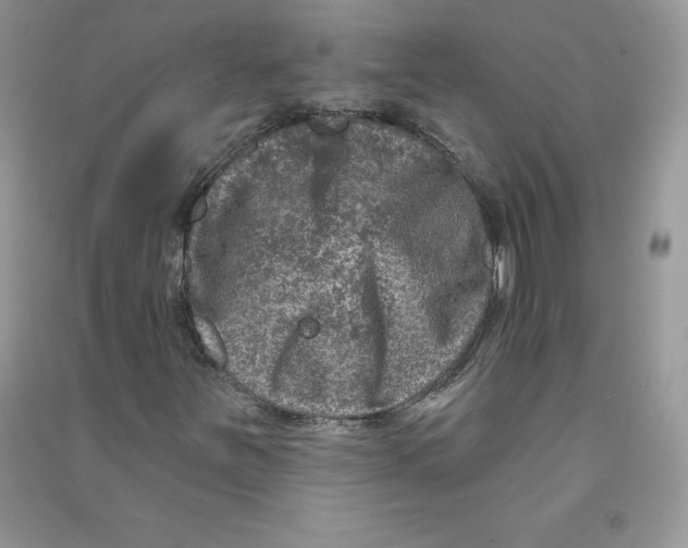 X0000090731251200708171940