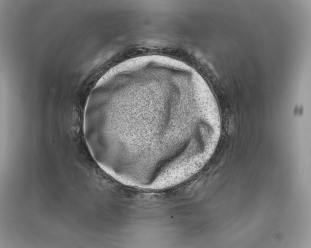 X0000090731253200708171940