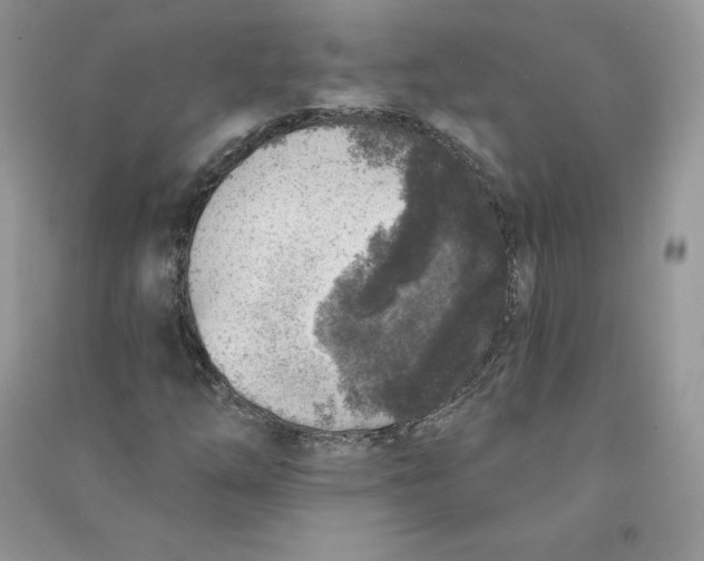 X0000090731254200708171940