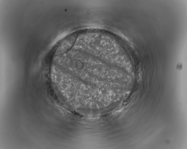 X0000090731255200708171940