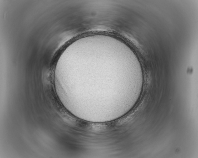 X0000090731258200708171940