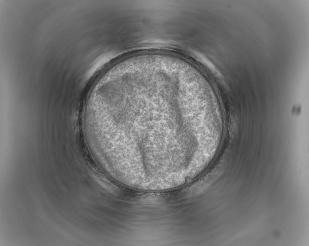 X0000090731259200708171940