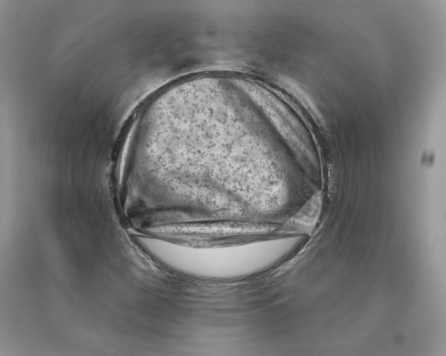 X0000090731260200708171940