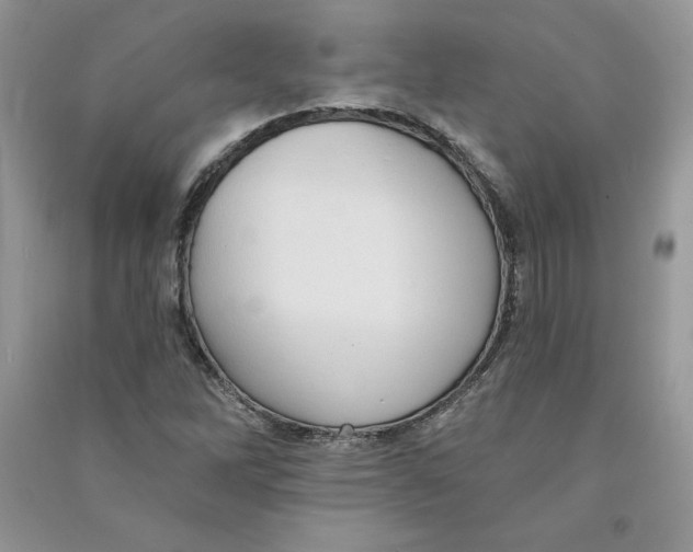 X0000090731262200708171940