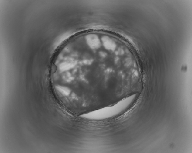 X0000090731263200708171940