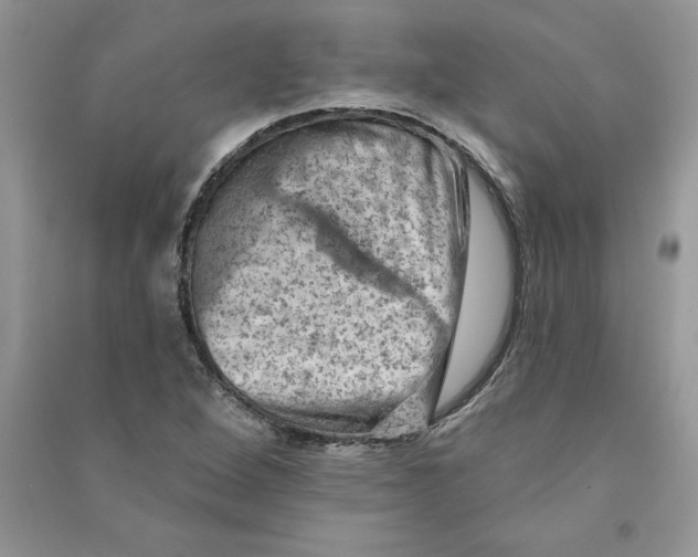 X0000090731264200708171940