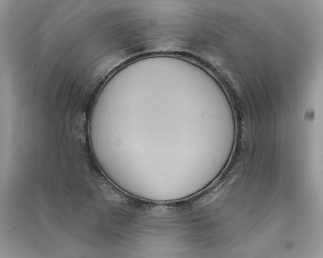 X0000090731265200708171940