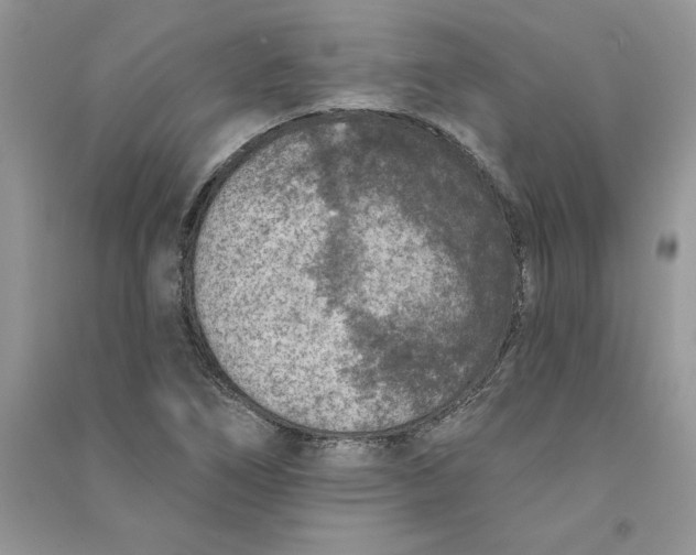 X0000090731266200708171940