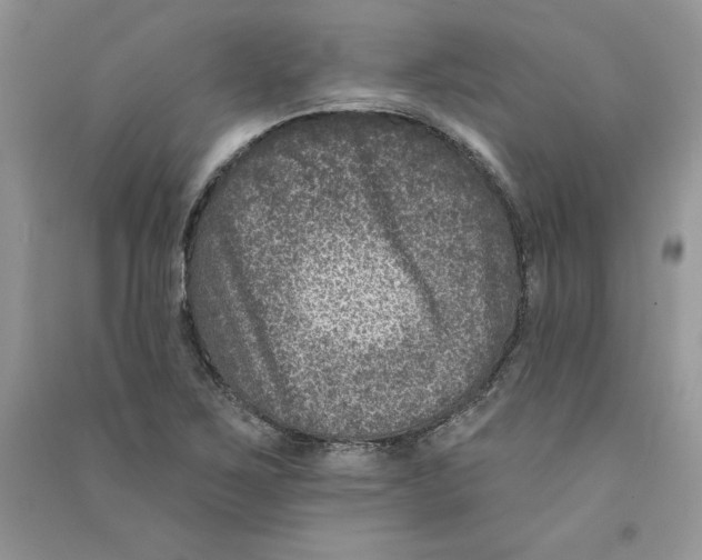 X0000090731267200708171940