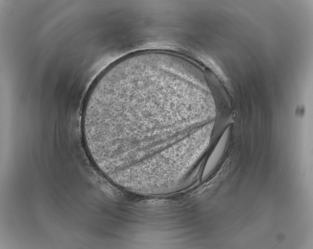 X0000090731268200708171940