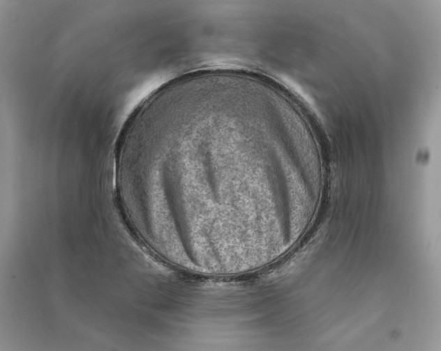 X0000090731269200708171940