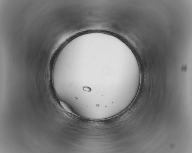 X0000090731270200708171940