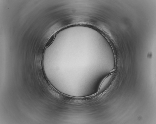 X0000090731273200708171940