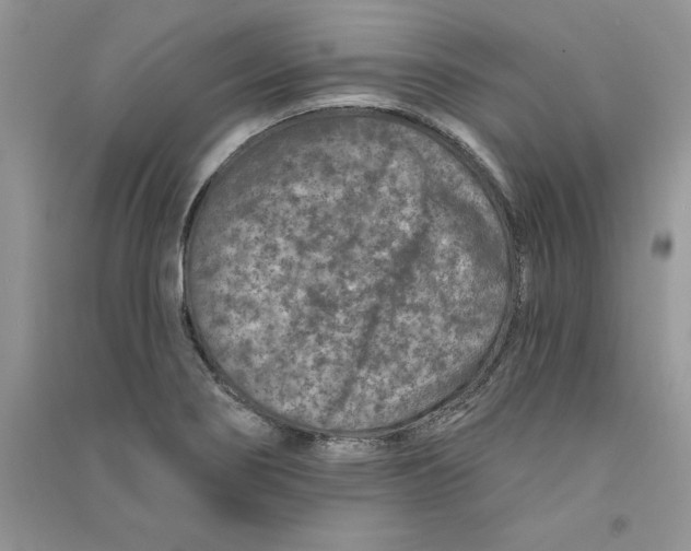 X0000090731274200708171940