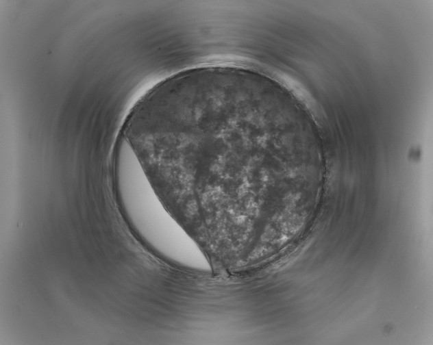 X0000090731275200708171940