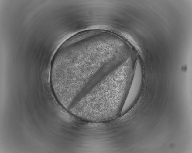 X0000090731276200708171940